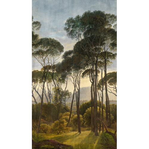 2,8m x 1,59m