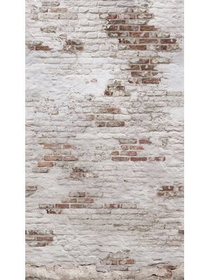 Grandeco Orom 2 - EP6101 - Brick 159x280cm