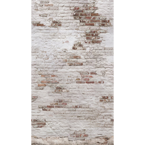 2,8m x 1,59m