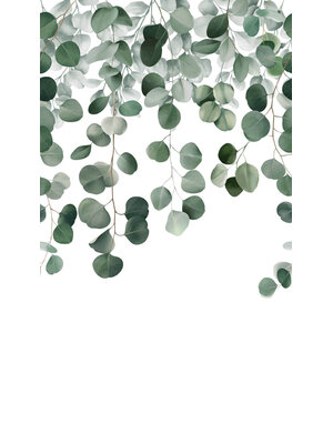 Grandeco Orom 2 - A73201 - Icarus 159x280cm