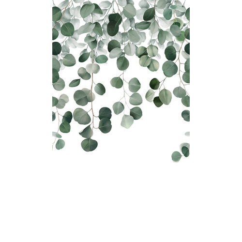 2,8m x 1,59m