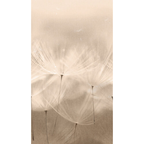 2,8m x 1,59m