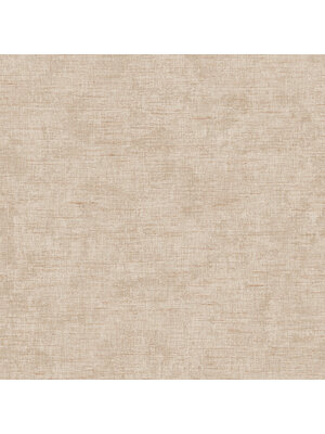 Dutch Renaissance 2 - RE521063 - Needle point plain beige