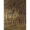 Dutch Painted Memories 2 - 8040 - Autumn Forrest