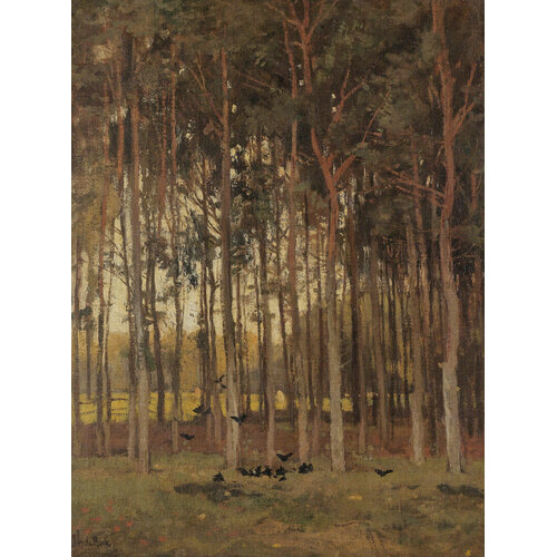 2,7m x 2m