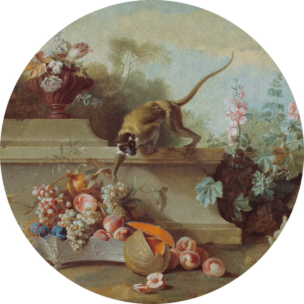 Dutch Painted Memories 2 - 8070C - Circle Still Life with Monkey, Fruits, and Flowers