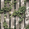 Dutch Illusion - M889-08 - Hout/Klimop Beige/Groen Dutch Illusion - M889-08 - Hout/Klimop Beige/Groen
