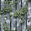 Dutch Illusion - M889-09 - Hout/Klimop Blauw/Groen Dutch Illusion - M889-09 - Hout/Klimop Blauw/Groen