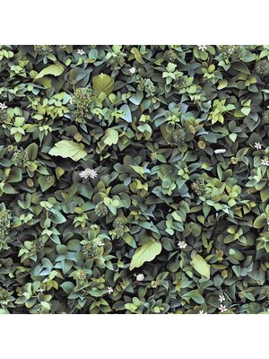Dutch Illusion - M891-04 - Bladeren Groen