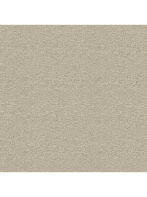 Dutch First Class Hotel Luxe - 100124AH - Urban Weave Taupe