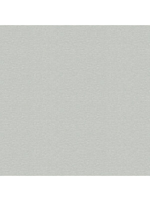 Dutch First Class Hotel Luxe - 100127AH - Urban Weave Silver