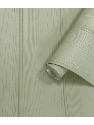 Holden Adventure Awaits - 13990 - Tongue & Groove Sage