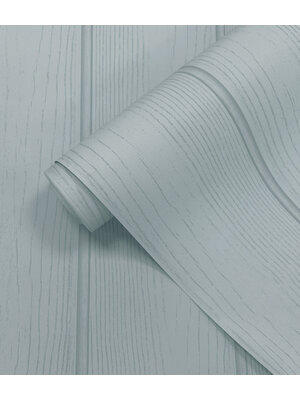 Holden Adventure Awaits - 13992 - Tongue & Groove Blue