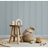 Holden Adventure Awaits - 13992 - Tongue & Groove Blue