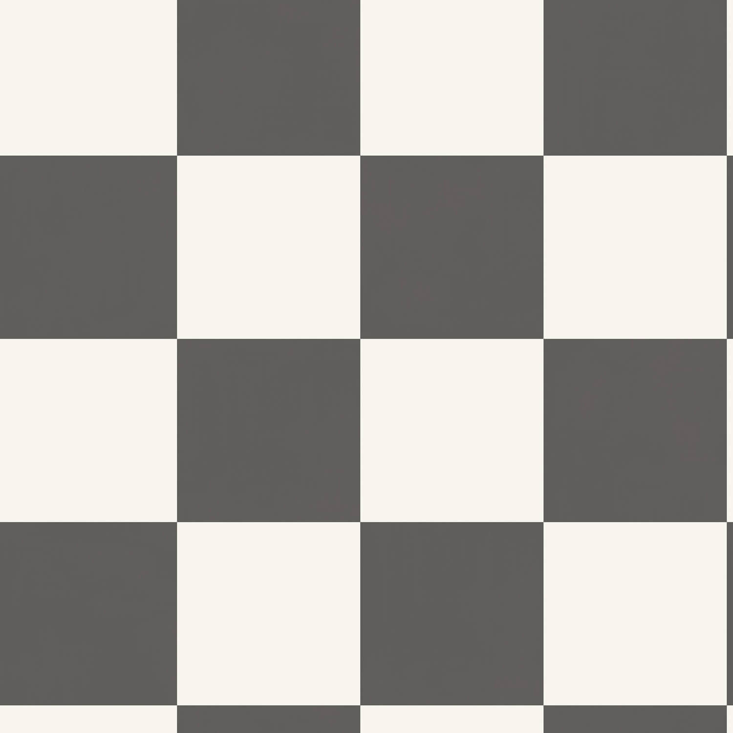 Holden Adventure Awaits - 14040 - Check This Out! Charcoal