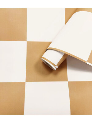 Holden Adventure Awaits - 14042 - Check This Out! Orange