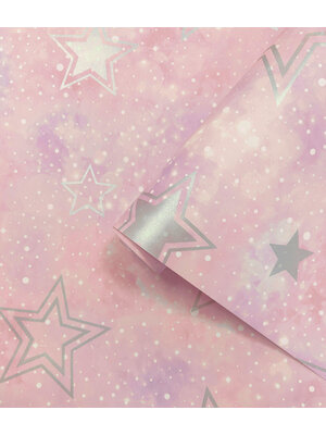 Holden Adventure Awaits - 14060 - Stardust Pink/Silver