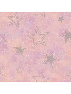 Holden Adventure Awaits - 14060 - Stardust Pink/Silver