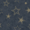 Holden Adventure Awaits - 14061 - Stardust Midnight Blue/Gold