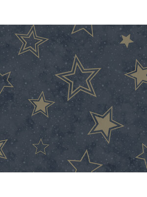Holden Adventure Awaits - 14061 - Stardust Midnight Blue/Gold