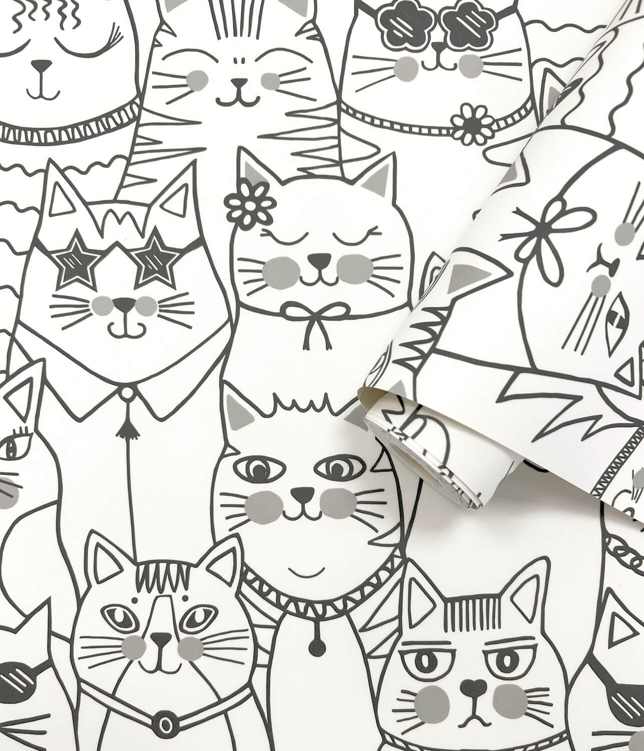 Holden Adventure Awaits - 14070 - Colour-me Cats Black/White