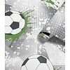 Holden Adventure Awaits - 14092 - Football Frenzy Grey/Green
