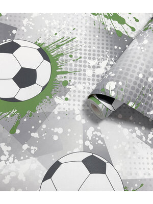 Holden Adventure Awaits - 14092 - Football Frenzy Grey/Green