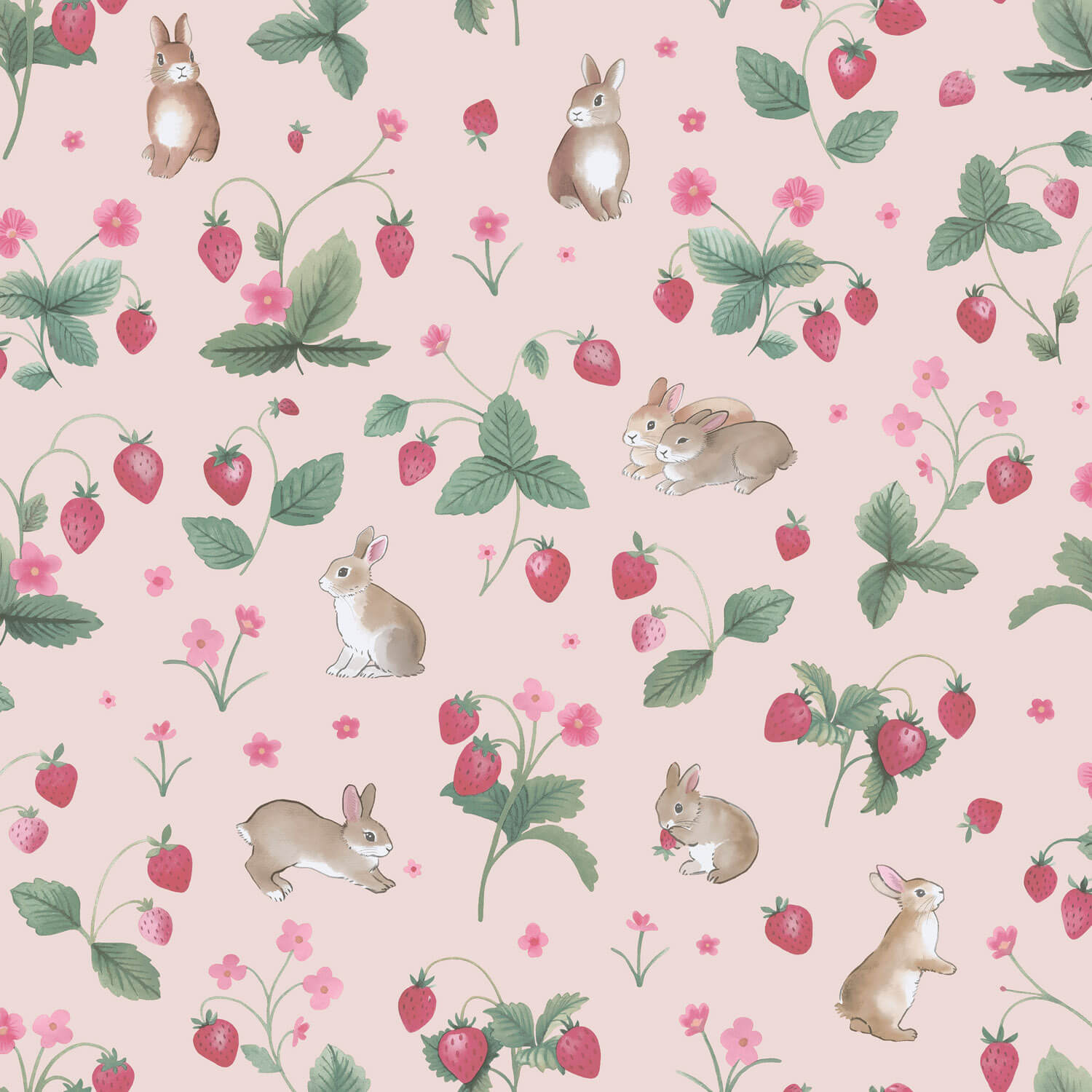 Holden Adventure Awaits - 14141 - Bunnies & Berries Pink
