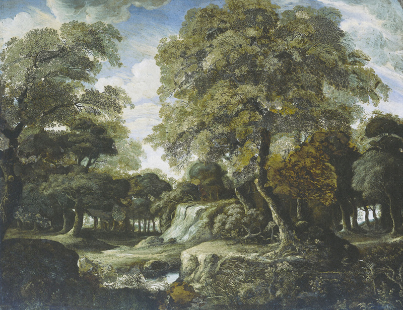 Dutch Painted Memories 1 - 8027 - Forest