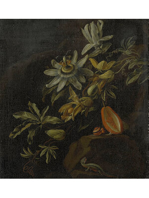 Dutch Painted Memories 1 - 8007 - Passion Flowers