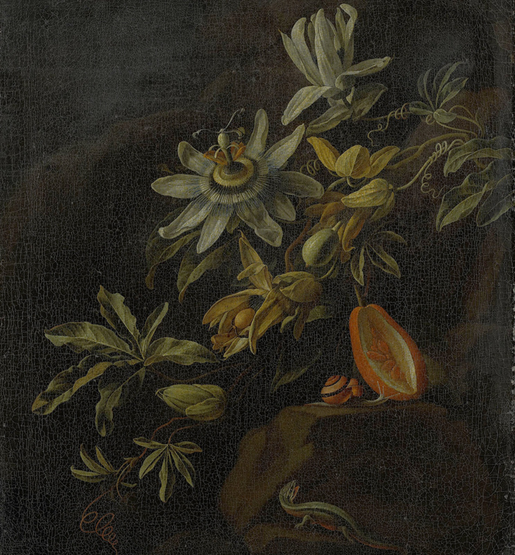 Dutch Painted Memories 1 - 8007 - Passion Flowers