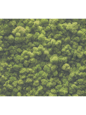 AS Creation Pint Walls II - 39405-1 AS Creation Pint Walls II - 39405-1