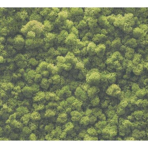 10,05m x 53cm