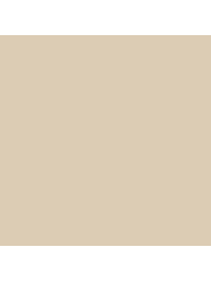 Sigma Perfect Matt Muurverf - PPG1085-3 - Seriously Sand