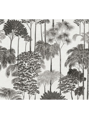 AS Creation Cuba 2 - 79162-5
