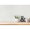 Livingwalls Vibes & Styles - 389731
