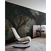 Muance Muance Fotobehang Galaxy nights - MU11058 Muance Muance Fotobehang Galaxy nights - MU11058