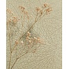 Eijffinger Embrace - 324046