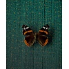 Eijffinger Natural Wallcoverings III - 303565