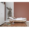 Esta Home Forest Friends - 159052 Esta Home Forest Friends - 159052