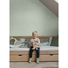 Esta Home Forest Friends - 157-138923