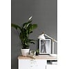 Esta Home Forest Friends - 157-139028 Esta Home Forest Friends - 157-139028