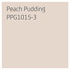 Sigma Perfect Matt Muurverf - PPG1015-3 - Peach Pudding