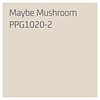 Sigma Perfect Matt Muurverf - PPG1020-2 - Maybe Mushroom