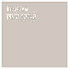 Sigma Perfect Matt Muurverf - PPG1022-2 - Intuitive