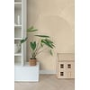 Esta Home Bloom - 159382