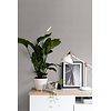 Esta Home Bloom - 160-139026 Esta Home Bloom - 160-139026