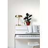 Esta Home Art Deco - 156-137020 Esta Home Art Deco - 156-137020