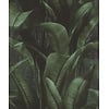 Rasch Back to Nature - 416237 Rasch Back to Nature - 416237