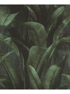 Rasch Back to Nature - 416237